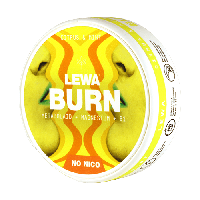 LEWA BURN Citrus & Mint