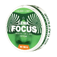 LEWA FOCUS Cucumber & Mint