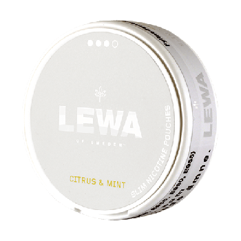 LEWA Citrus & Mint